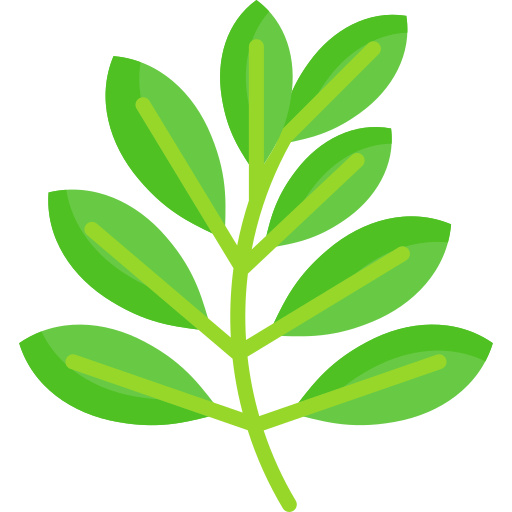 plantes aromatiques et plantes à parfums